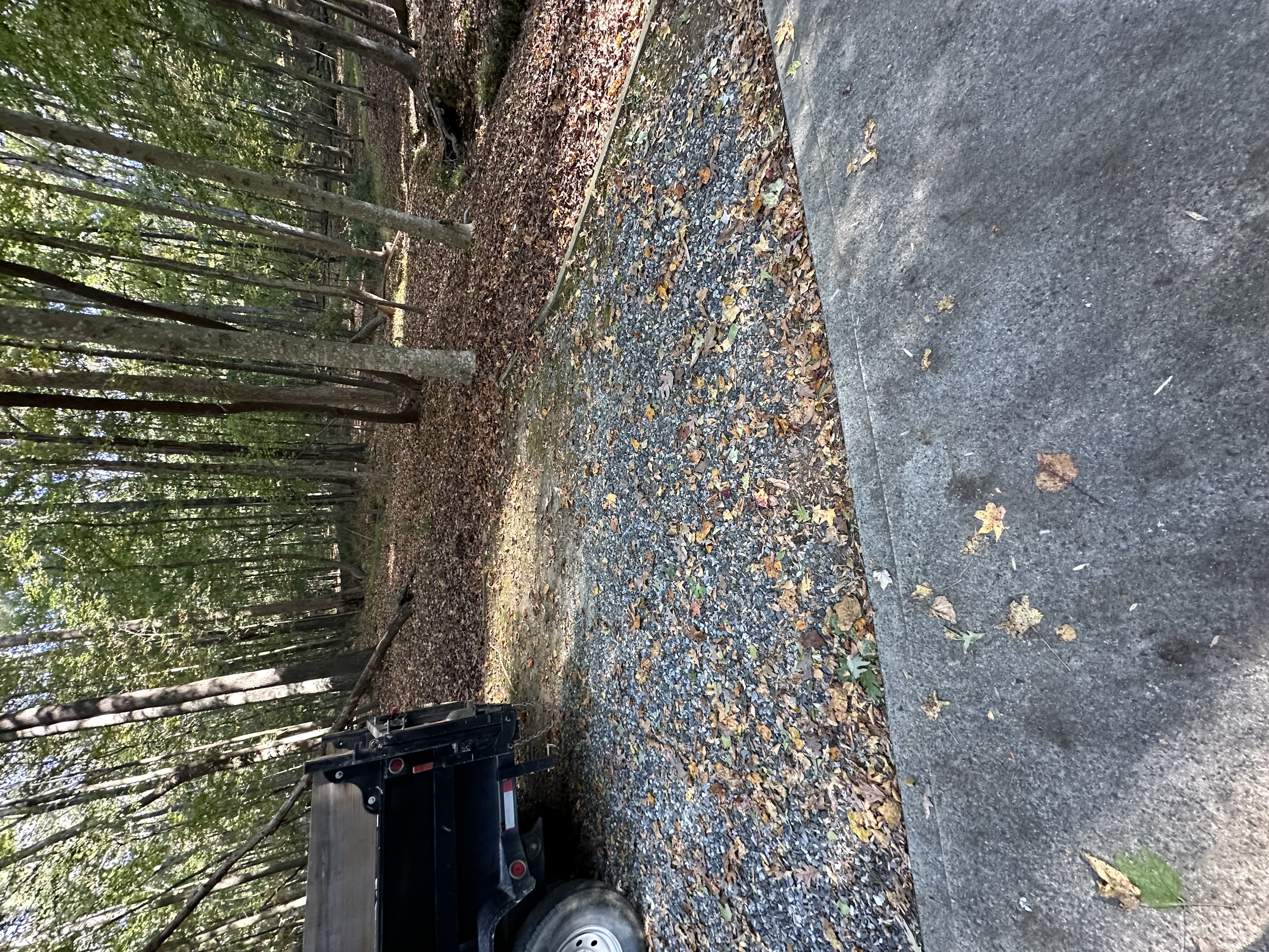 Job Site 2 before Junk removal